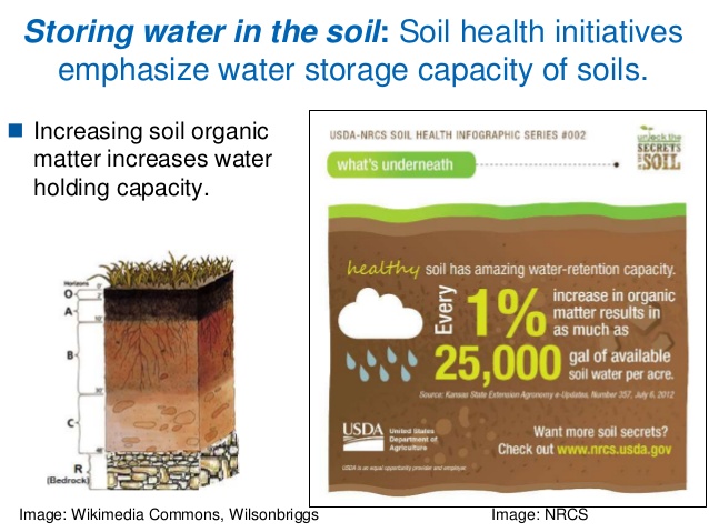 Water retention in soil